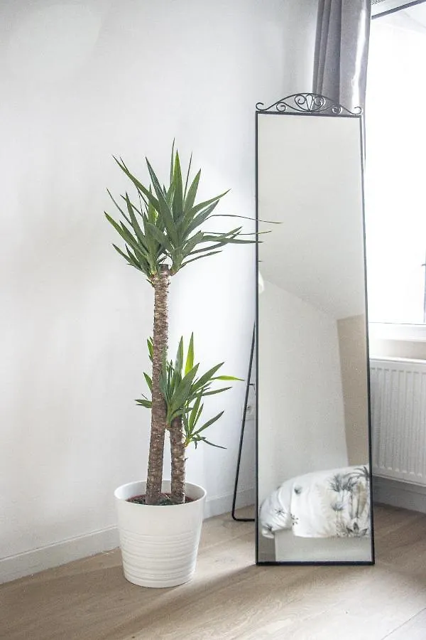 Nsd Home Antwerpen